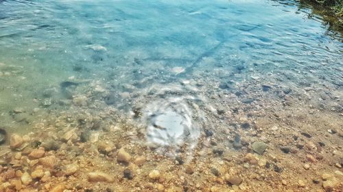 High angle view of sea shore