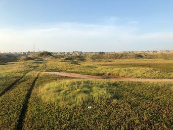 Scenic view of agricultural field against sky