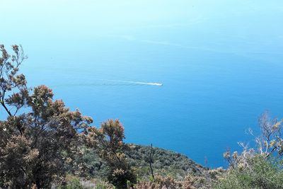 High angle view of trees by sea