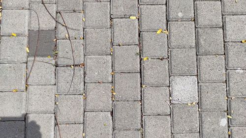 High angle view of cobblestone street