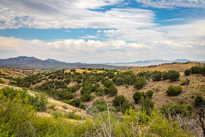 Scenic view of landscape against sky