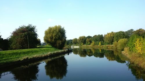 Reflection of trees in calm lake