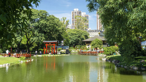 Scenic view of river by trees in city