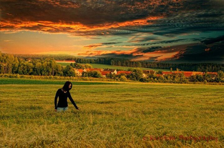 field, grass, sky, landscape, lifestyles, sunset, leisure activity, tranquil scene, tranquility, rear view, scenics, cloud - sky, beauty in nature, nature, men, person, grassy, tree