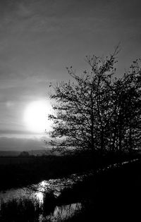 Silhouette trees against sky during sunset