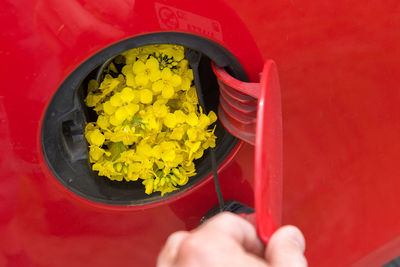 Cropped hand by yellow flowers in car fuel tank