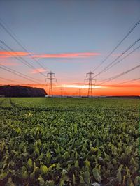 Scenic view of field against sky during sunset