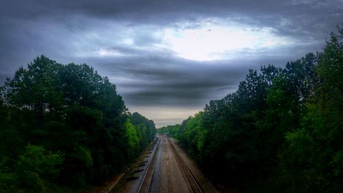 Panoramic view of trees against sky