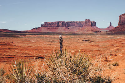 View of scenic landscape