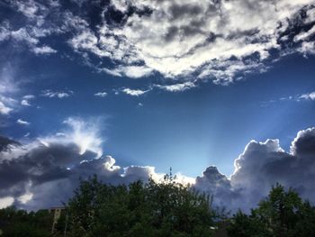Low angle view of trees against sky