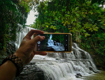 Hand holding mobile phone against trees and plants