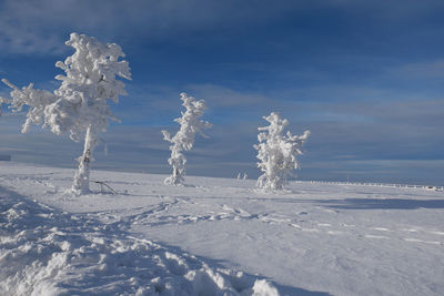 Snow on field against sky