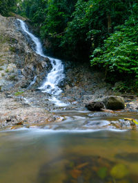 View of waterfall in forest