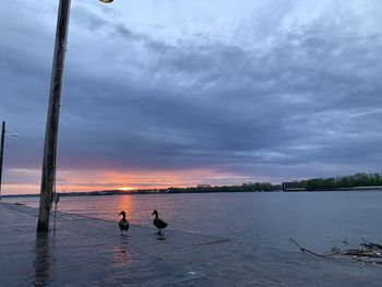 People on beach against sky during sunset