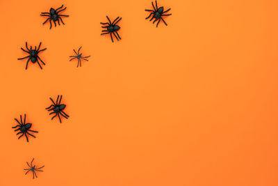 Spider decoration against orange background