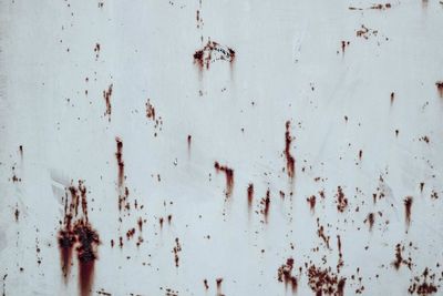 Full frame shot of weathered wall