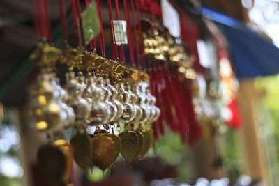 Golden bells lucky and beautiful.