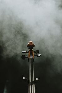 Contrabass close up