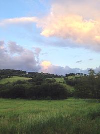 Scenic view of grassy field against cloudy sky