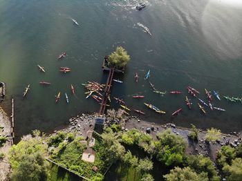 High angle view of plants and kayaks by river