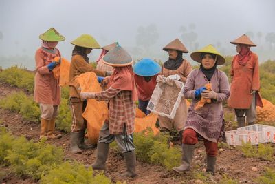 Female farmers wearing asian style conical hats while working at farm