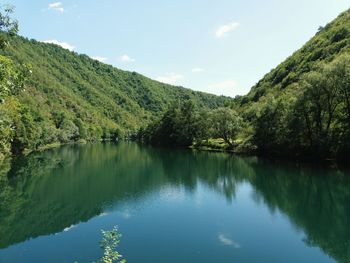 Scenic view of lake by trees against sky