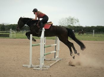 Man riding horse in ranch