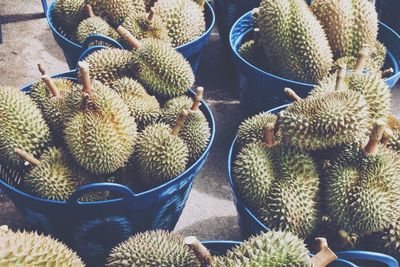 High angle view of durians in containers at market for sale