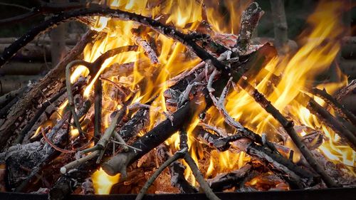 Close-up of bonfire at night