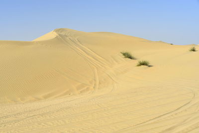 Around nazwa and pink rock desert, viewing of the sand and plant in the desert, sharjah, uae
