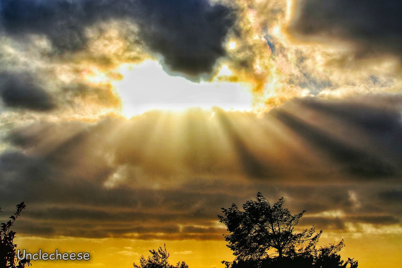 cloud - sky, sky, sunset, silhouette, nature, scenics, tree, beauty in nature, dramatic sky, sunbeam, tranquility, low angle view, tranquil scene, outdoors, sun, no people, sunlight, awe, storm cloud, yellow, growth, day