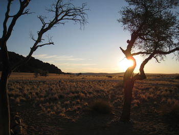 Sunset over field