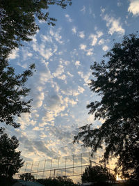 Low angle view of silhouette trees against sky during sunset