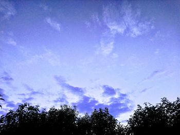 Low angle view of trees against blue sky