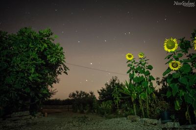 star - space