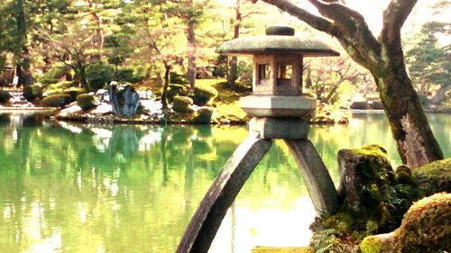 Reflection of trees in pond