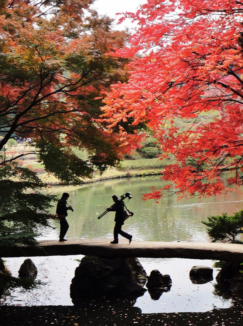 tree, water, reflection, men, lake, lifestyles, branch, leisure activity, nature, tranquility, beauty in nature, autumn, tranquil scene, full length, outdoors, day, growth, person