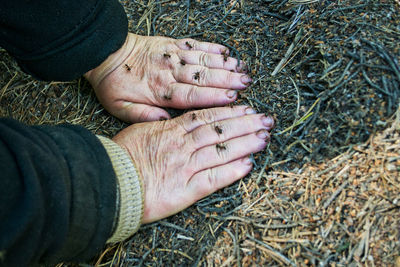 High angle view of hands with houseflies on field  person