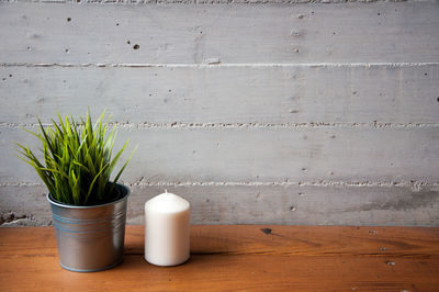 Close-up of potted plant on table against wall