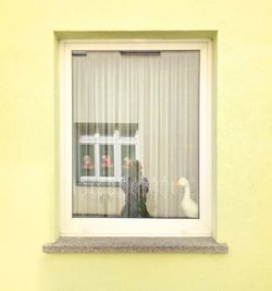 Window of house