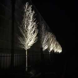 Low angle view of fireworks against sky at night