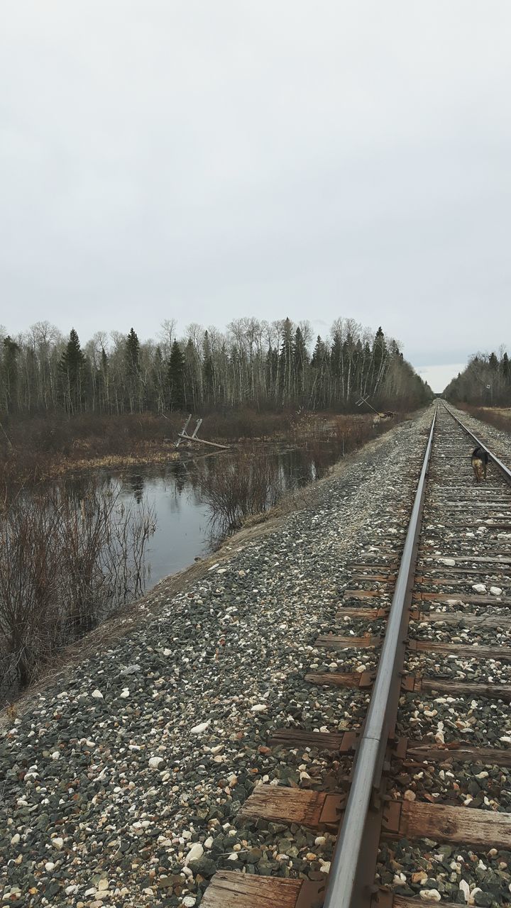 RAILROAD TRACKS AGAINST SKY