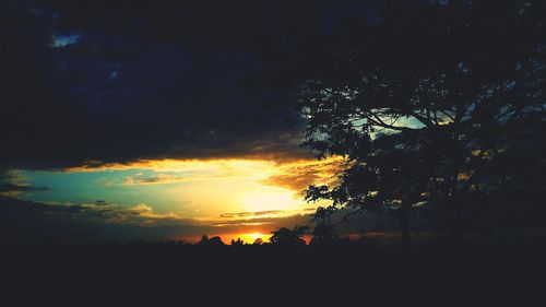 Silhouette trees against sky during sunset