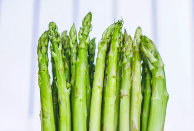 Close-up of vegetables against white background