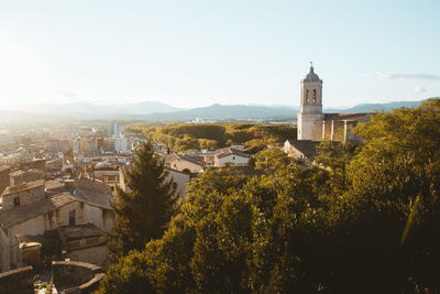 Buildings and trees in town against sky