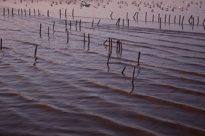 High angle view of wooden posts on beach