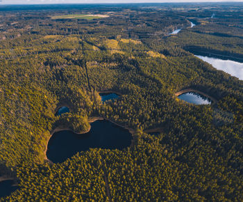 High angle view of agricultural field