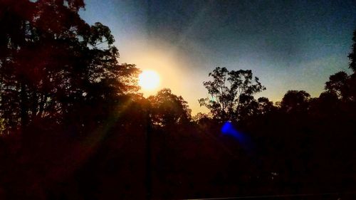 Silhouette trees in forest against sky at sunset