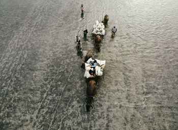 High angle view of people walking on road