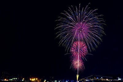 Low angle view of firework display at night